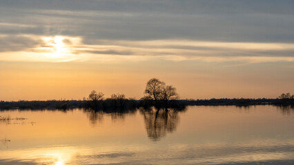 Flooded trees during a period of high water at sunset. Trees in water at dusk. Landscape with spring flooding of Pripyat River near Turov, Belarus. Nature and travel concept.