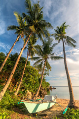 Wall Mural - a palm tree and boat in front of a body of water