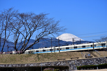 Wall Mural - 酒匂川河川敷 小田急線と富士山