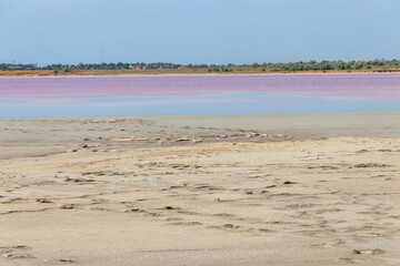 Poster - View of the pink salty Syvash lake in Kherson region, Ukraine