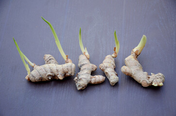 closeup the bunch green brown color turmeric soil heap over out of focus brown background.