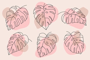 monstera leaves vector illustration set. tropical leaf with pinky color abstract art.