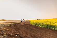 Young Boy And Girl Walking On Dirt Road On Farm Next To Canola Field At Sunset