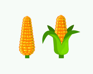 corn illustration, two corn vector, corn isolated design on white background