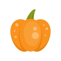 Wall Mural - October pumpkin icon flat isolated vector