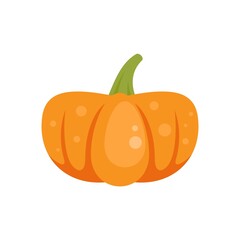 Wall Mural - Traditional pumpkin icon flat isolated vector