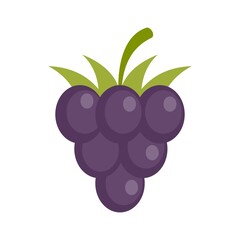 Poster - Blackberry icon flat isolated vector