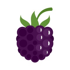 Poster - Fruit blackberry icon flat isolated vector