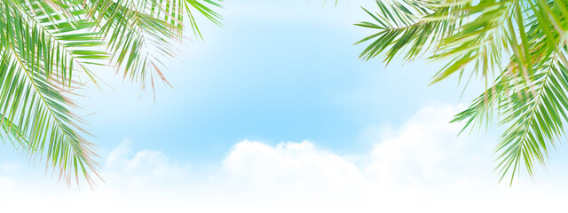 Wall Mural - Sunny sky with clouds and palm leaves