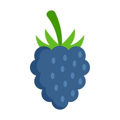 Poster - Fresh blackberry icon flat isolated vector