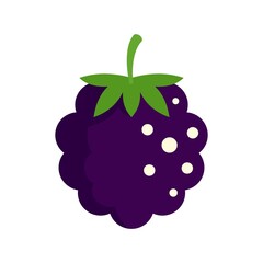 Poster - Food blackberry icon flat isolated vector