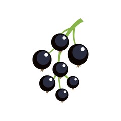 Poster - Blackcurrant icon flat isolated vector