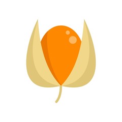 Poster - Golden berry icon flat isolated vector