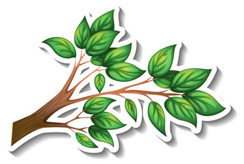 Poster - Tree branch with green leaves sticker on white background