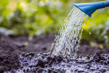 Wall Mural - concept of watering the earth with water. land in need of irrigation