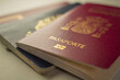 © Rene - Pasaportes venezolano y español. Doble nacionalidad, para viajar, documento de viaje necesario.