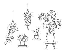 House Plant Line Art Icon. Flowers In Pots. Editable Stroke