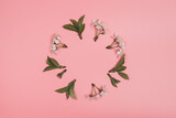 Fototapeta  - Round Frame Of Flowers Cherry On Pink Paper Top View.