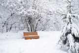Fototapeta  - Snowy Landscape With Bench In Winter Park.