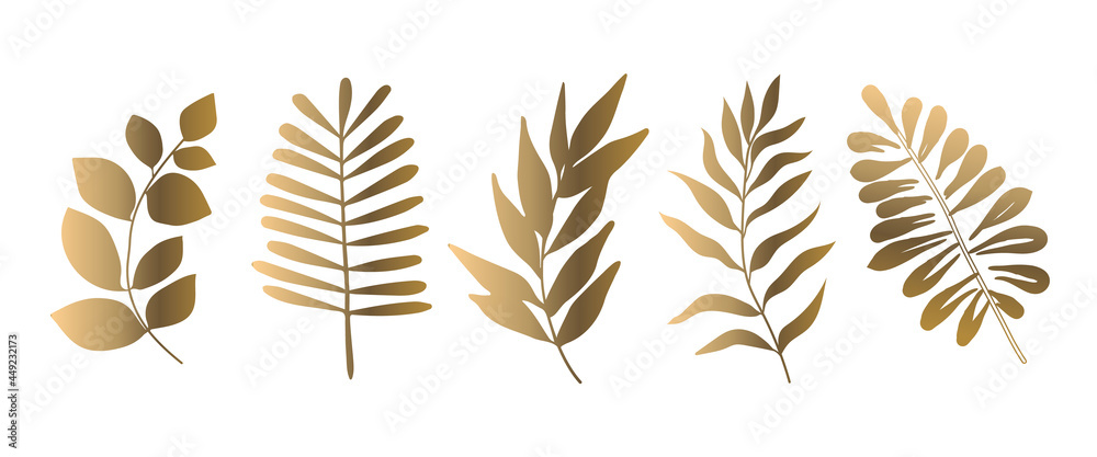 Set of beautiful gold leaves plants, leaves, plant design. Vector ...