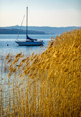 Wall Mural - boat at a lake