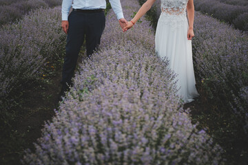 Wall Mural - bride and groom walking in the field