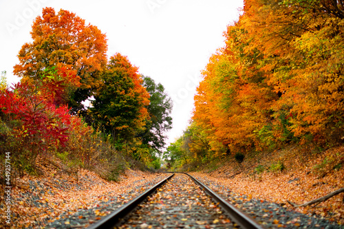 Railroad tracks in the middle of nowhere cutting through fall colored autumn trees changing colors_10