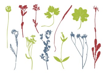 plants colored vector set. isolated elements