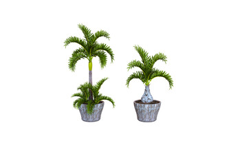 Wall Mural - Realistic 3d render of potted plant isolated