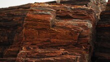 Rocky Wood Log At Petrified Forest National Park In Arizona, Close Up Panning Shot