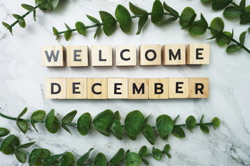 Wall Mural - Welcome December alphabet letter with green leave flat lay on marble background
