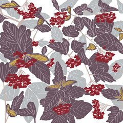 Wall Mural - Autumn pattern with colorful leaves and berries on white background