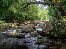 River With Boulders And Surrounding Rainforest