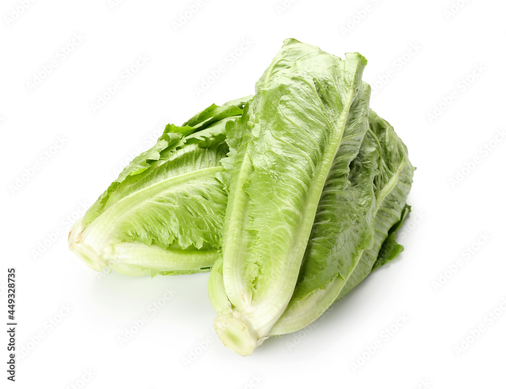 Fresh romaine lettuce on white background