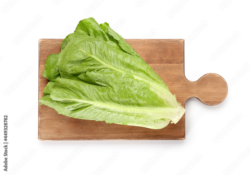 Fresh romaine lettuce on white background