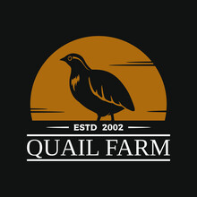 Vector Logotype Of Quail Farm With Silhouette Of Bird Isolated In Dark Background. Vintage Logo Illustration