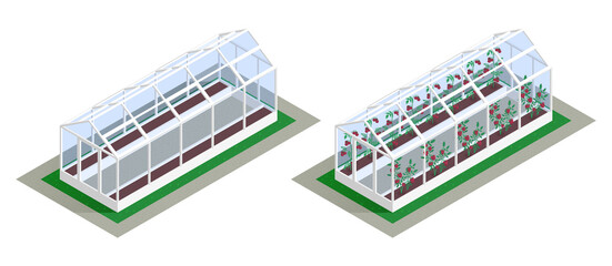 Wall Mural - Isometric Greenhouse Growing Icon Set
