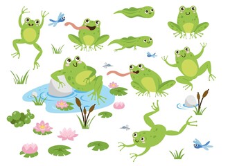 cute frog cartoon characters vector illustrations set. drawings of green toads jumping, sitting in p