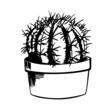 Hand-drawn cactus sketch. Home thorny plants drawing by ink, pen, marker. Isolated. Vector illustration.