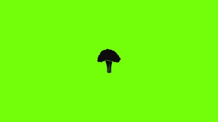 Poster - Salad broccoli icon animation