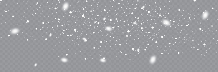Wall Mural - Snowfall, snowflakes in different shapes and forms. Snowflakes, snow background. Christmas snow for the new year.