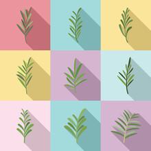 Rosemary Icons Set Flat Vector. Herb Spices