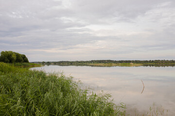 A large lake in a green summer forest. Water surface on the lake.