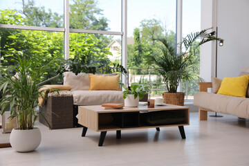 Indoor terrace interior with modern furniture and houseplants