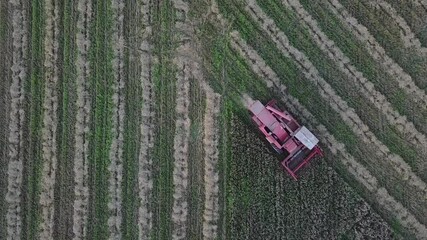 Canvas Print - AN HD top view footage of a tractor working in a field