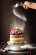 Naked summer berries decorated rustic cake powdering