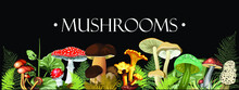 Vector Illustration Of 8 Different Forest Mushrooms And Fern On A Dark Background. Fly Agaric, Honey Agaric, White Mushroom, Chanterelles