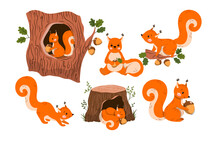 Cute Red Squirrel. Wild Animal Walks Along Branches Of Tree, Looking For Acorns And Hides Them In Hollow. Children Design Element For Book And Printing On Fabric. Cartoon Modern Flat Vector Set
