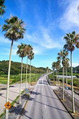 椰子並木のある国道　館山市