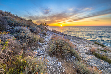 Wall Mural - Coastal vegetation Cap Corse